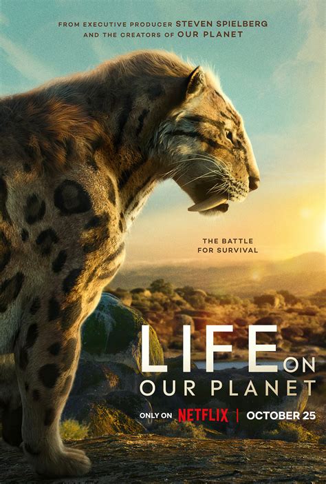 Documentary On One .